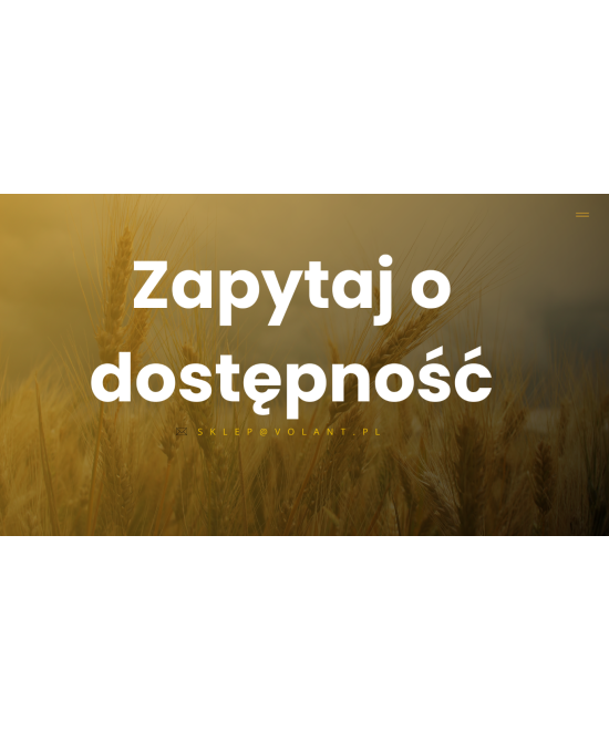 Inne mocowania – zapytaj o dostępność